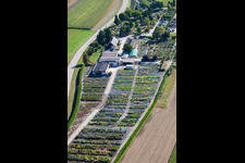 Vue aérienne de Toits en verre dans les rangées de serres pour la culture de fleurs par Gartenzeiten Schwarz à le quartier Bodersweier in Kehl dans le département Bade-Wurtemberg, Allemagne