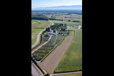 Vue oblique de Garden Times Black à le quartier Bodersweier in Kehl dans le département Bade-Wurtemberg, Allemagne