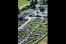 Garden Times Black à le quartier Bodersweier in Kehl dans le département Bade-Wurtemberg, Allemagne d'en haut