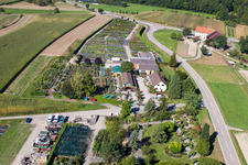 Vue aérienne de Toits en verre dans les rangées de serres pour la culture de fleurs par Gartenzeiten Schwarz à le quartier Bodersweier in Kehl dans le département Bade-Wurtemberg, Allemagne