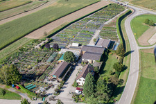 Vue d'oiseau de Garden Times Black à le quartier Bodersweier in Kehl dans le département Bade-Wurtemberg, Allemagne