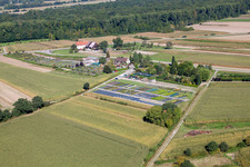 Image drone de Garden Times Black à le quartier Bodersweier in Kehl dans le département Bade-Wurtemberg, Allemagne
