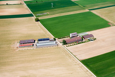 Photographie aérienne de Aussiedlerhof sur le Höhenweg à Kandel dans le département Rhénanie-Palatinat, Allemagne