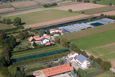 Nursery à Vollmersweiler dans le département Rhénanie-Palatinat, Allemagne vue d'en haut