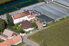 Nursery à Vollmersweiler dans le département Rhénanie-Palatinat, Allemagne depuis l'avion
