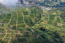 Sonnenberg à le quartier Schweigen in Schweigen-Rechtenbach dans le département Rhénanie-Palatinat, Allemagne vue d'en haut