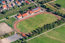 Vue aérienne de Terrain de football entre sportifs Steinfeld à Steinfeld dans le département Rhénanie-Palatinat, Allemagne