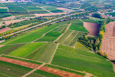 Vue aérienne de Vignoble sur l'A61 à Flomborn dans le département Rhénanie-Palatinat, Allemagne