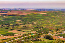 Vue aérienne de Vignoble à Modeläckern et au champ pétrolifère à Hangen-Weisheim dans le département Rhénanie-Palatinat, Allemagne