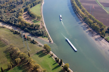 Vue aérienne de Zones riveraines le long de l'embouchure de la rivière Lampertheimer Altrheinmündung à Worms. Voici la frontière entre les Länder de Hesse et de Rhénanie-Palatinat à Lampertheim dans le département Hesse, Allemagne