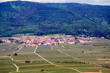Vue aérienne de Burrweiler dans le département Rhénanie-Palatinat, Allemagne
