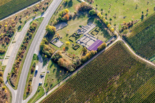 Vue aérienne de Quartier Wachenheim in Wachenheim an der Weinstraße dans le département Rhénanie-Palatinat, Allemagne