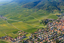 Wachenheim an der Weinstraße dans le département Rhénanie-Palatinat, Allemagne d'en haut