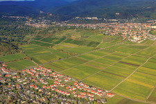 Wachenheim an der Weinstraße dans le département Rhénanie-Palatinat, Allemagne vue d'en haut