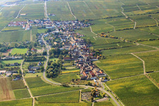 Forst an der Weinstraße dans le département Rhénanie-Palatinat, Allemagne du point de vue du drone