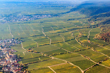 Vue aérienne de Forst an der Weinstraße dans le département Rhénanie-Palatinat, Allemagne