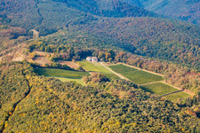 Vue aérienne de Paysage viticole des domaines viticoles de la cave Odinstal, la plus haute cave du Palatinat à le quartier Wachenheim in Wachenheim an der Weinstraße dans le département Rhénanie-Palatinat, Allemagne