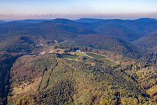 Vue aérienne de Odinstal, le plus haut domaine viticole du Palatinat à le quartier Wachenheim in Wachenheim an der Weinstraße dans le département Rhénanie-Palatinat, Allemagne
