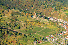 Vue aérienne de Wachenheim, Château de Wachenheim à Wachenheim an der Weinstraße dans le département Rhénanie-Palatinat, Allemagne