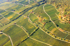 Vue oblique de Forst an der Weinstraße dans le département Rhénanie-Palatinat, Allemagne