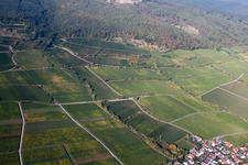 Photographie aérienne de Deidesheim dans le département Rhénanie-Palatinat, Allemagne