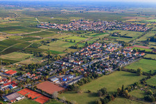Vue aérienne de Quartier Est à Deidesheim dans le département Rhénanie-Palatinat, Allemagne