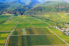 Vue aérienne de Vignoble Rupperstberger Reiterpfad à Ruppertsberg dans le département Rhénanie-Palatinat, Allemagne