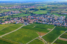Ruppertsberg dans le département Rhénanie-Palatinat, Allemagne d'un drone