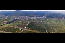 Quartier Königsbach in Neustadt an der Weinstraße dans le département Rhénanie-Palatinat, Allemagne depuis l'avion