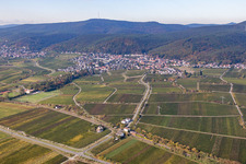 Vue d'oiseau de Quartier Königsbach in Neustadt an der Weinstraße dans le département Rhénanie-Palatinat, Allemagne