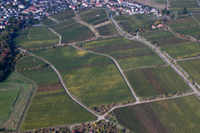 Quartier Königsbach in Neustadt an der Weinstraße dans le département Rhénanie-Palatinat, Allemagne du point de vue du drone