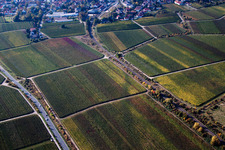 Image drone de Quartier Mußbach in Neustadt an der Weinstraße dans le département Rhénanie-Palatinat, Allemagne