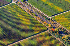 Vue aérienne de Ligne de chemin de fer entre les vignes dans les feuilles d'automne à le quartier Königsbach in Neustadt an der Weinstraße dans le département Rhénanie-Palatinat, Allemagne