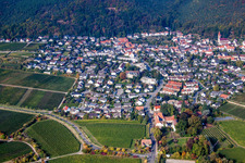 Vue aérienne de Vignobles sur le Haardtrand de la forêt du Palatinat à le quartier Königsbach in Neustadt an der Weinstraße dans le département Rhénanie-Palatinat, Allemagne