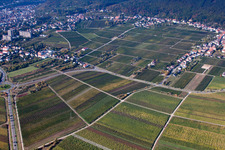 Quartier Haardt in Neustadt an der Weinstraße dans le département Rhénanie-Palatinat, Allemagne d'en haut