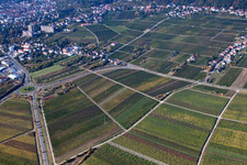 Neustadt an der Weinstraße dans le département Rhénanie-Palatinat, Allemagne d'en haut