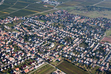 Quartier Mußbach in Neustadt an der Weinstraße dans le département Rhénanie-Palatinat, Allemagne d'en haut