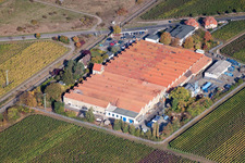 Vue aérienne de Métallurgie à le quartier Mußbach in Neustadt an der Weinstraße dans le département Rhénanie-Palatinat, Allemagne