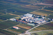 Photographie aérienne de RLP Agroscience à le quartier Mußbach in Neustadt an der Weinstraße dans le département Rhénanie-Palatinat, Allemagne