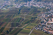 Image drone de Neustadt an der Weinstraße dans le département Rhénanie-Palatinat, Allemagne