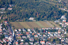 Vue aérienne de Paysage viticole des domaines viticoles entre forêt et village dans la commune de Hambach à Neustadt an der Weinstraße dans le département Rhénanie-Palatinat, Allemagne