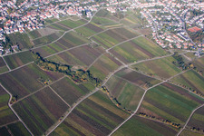 Vue aérienne de Quartier Hambach an der Weinstraße in Neustadt an der Weinstraße dans le département Rhénanie-Palatinat, Allemagne