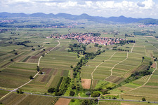 Vue aérienne de Paysage viticole des terroirs viticoles à le quartier Nußdorf in Landau in der Pfalz dans le département Rhénanie-Palatinat, Allemagne