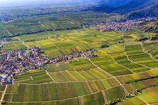 Vue aérienne de Quartier d'Alsterweiler entre vignobles à Maikammer dans le département Rhénanie-Palatinat, Allemagne