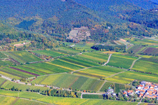 Enregistrement par drone de Sankt Martin dans le département Rhénanie-Palatinat, Allemagne