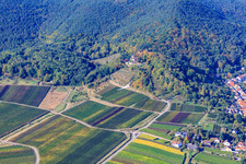 Vue aérienne de Planeur au-dessus du Kropsburg à le quartier SaintMartin in Sankt Martin dans le département Rhénanie-Palatinat, Allemagne