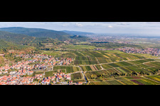 Vue aérienne de Vue sur la plaine du Rhin en bordure du Haardt de la forêt du Palatinat entre les vignes à le quartier SaintMartin in Sankt Martin dans le département Rhénanie-Palatinat, Allemagne