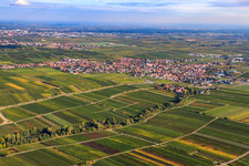 Vue aérienne de Vue de la ville depuis le nord-ouest à Maikammer dans le département Rhénanie-Palatinat, Allemagne