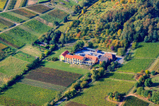 Photographie aérienne de Hôtel bien-être Alte Rebschule à le quartier Rhodt in Rhodt unter Rietburg dans le département Rhénanie-Palatinat, Allemagne
