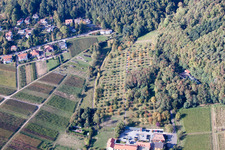 Vue aérienne de Ancienne école de la vigne à le quartier Rhodt in Rhodt unter Rietburg dans le département Rhénanie-Palatinat, Allemagne